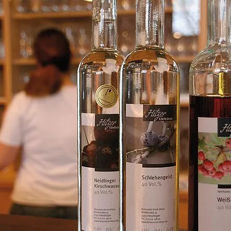 Hotel Gaestehaus Und Lamm Garni